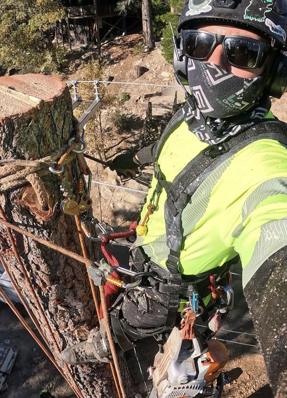 Tree Removal Toronto | 24/7 Emergency Service | Free Estimates